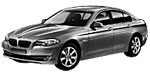BMW F10 B3244 Fault Code
